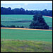 Emmet County farmland