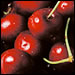 Putting local growers and consumers together