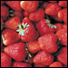 Michigan's sweet crop