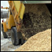 Biomass: Boon or Bugaboo?